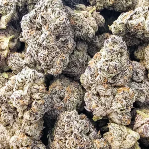 BULK FLOWER CUSTOM BUNDLE FIRST CUT EXOTICS