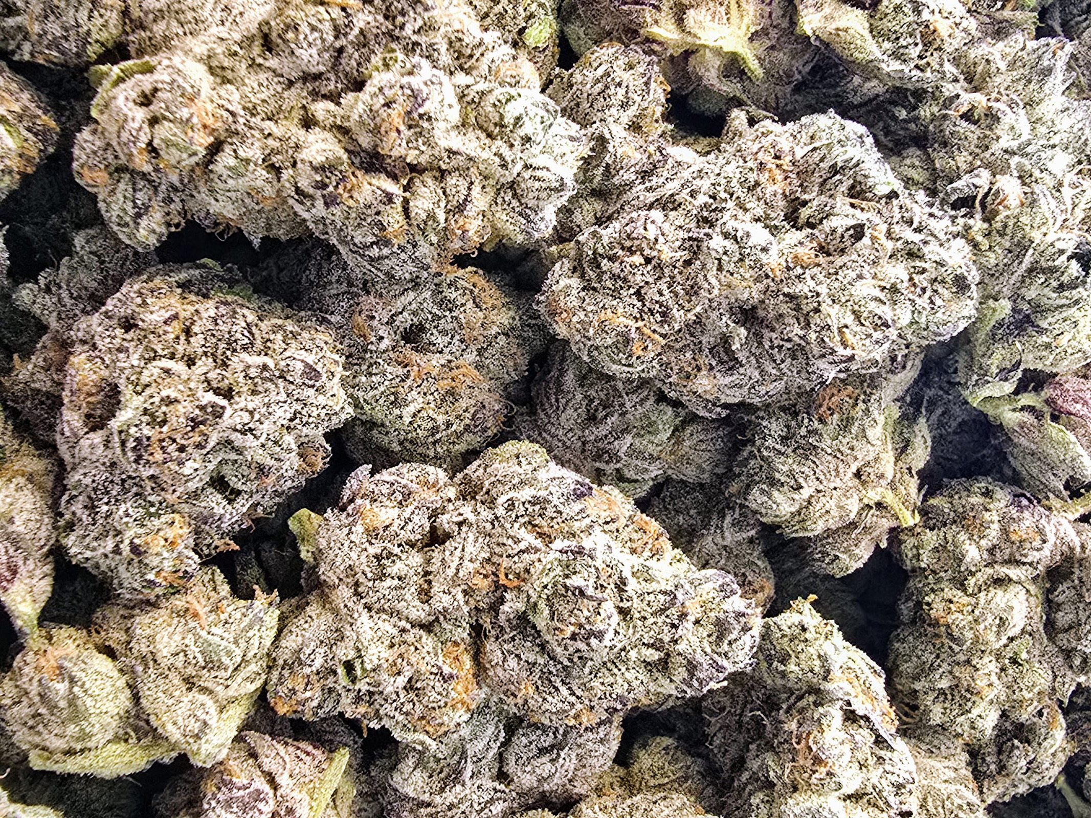 Full Spectrum Cannabis