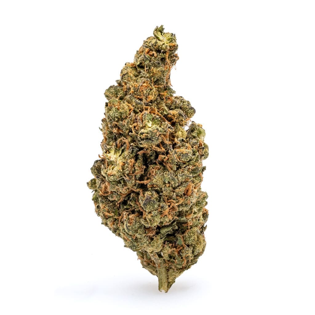 THCa Flower Amnesia Haze - Bud