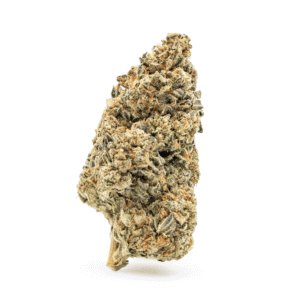 THCa Flower Cereal Milk - nug